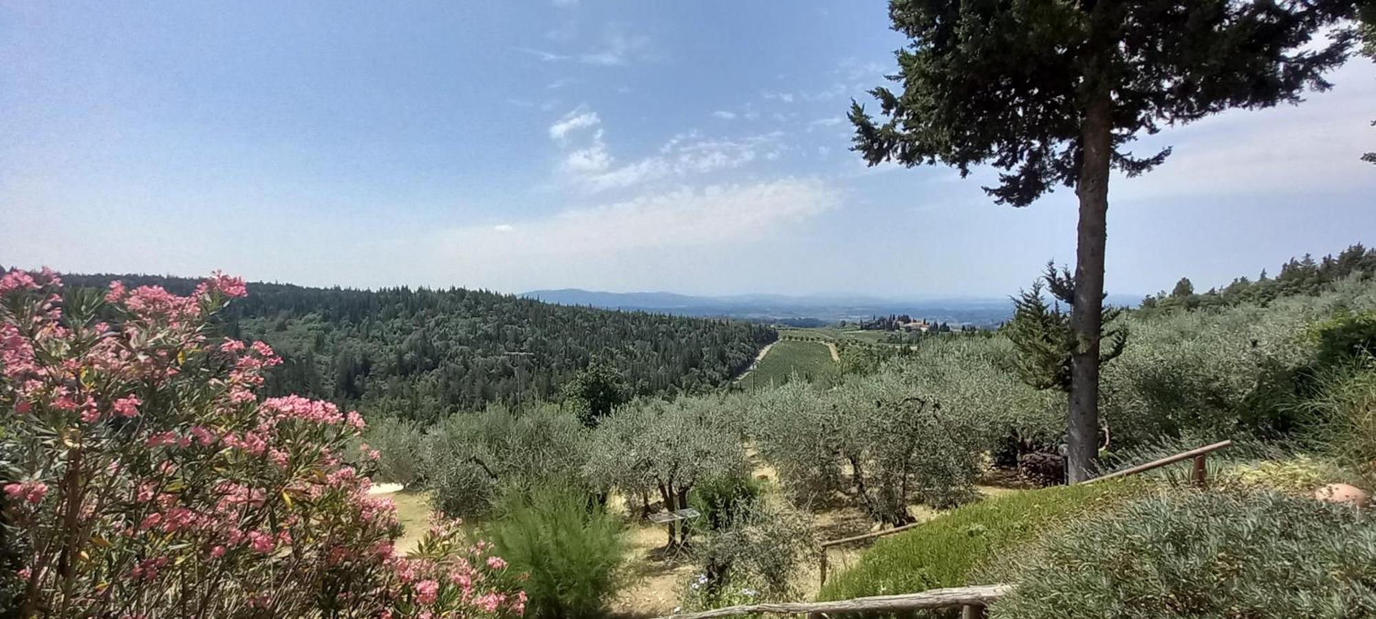 Borgo Nel Chianti Istrice Con Piscina Tennis E Wifi Castellina in Chianti Extérieur photo
