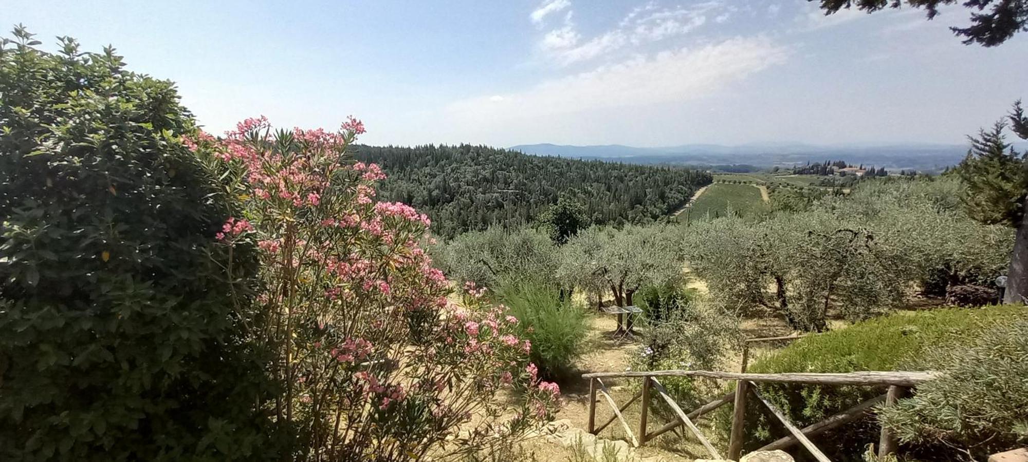 Borgo Nel Chianti Istrice Con Piscina Tennis E Wifi Castellina in Chianti Extérieur photo